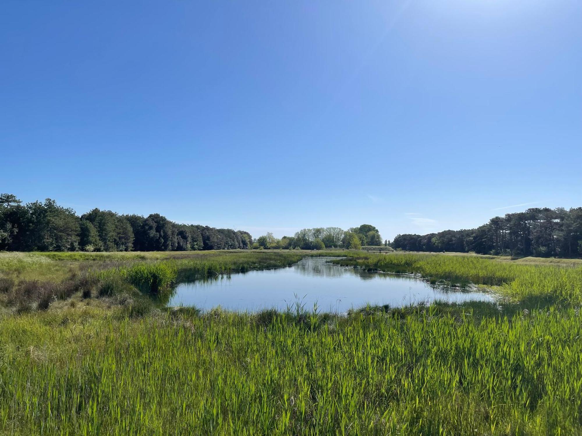 Lino delle Fate Eco Resort Bibione Esterno foto